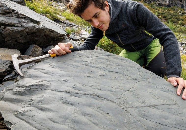 Una excursionista descubre por accidente un mundo perdido de hace 280 millones de años