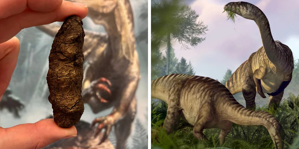 200-million-year-old poop reveals how dinosaurs conquered Earth