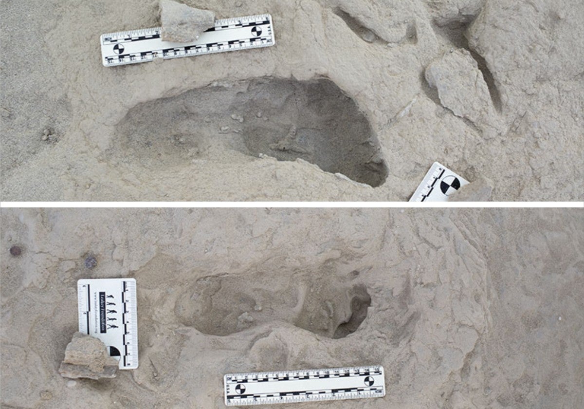 Arriba, una huella atribuida a un Paranthropus boisei; abajo, la marca dejada por un individuo Homo erectus