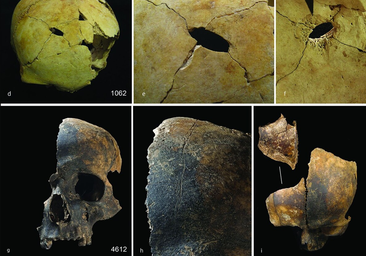 Violencia extrema, canibalismo... Así fue la peor matanza prehistórica de Gran Bretaña
