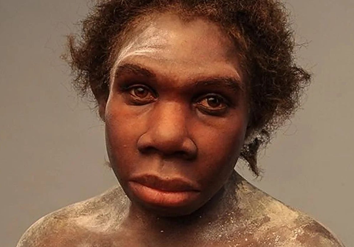 Recreación del niño de Turkana, uno de los Homo erectus más famosos