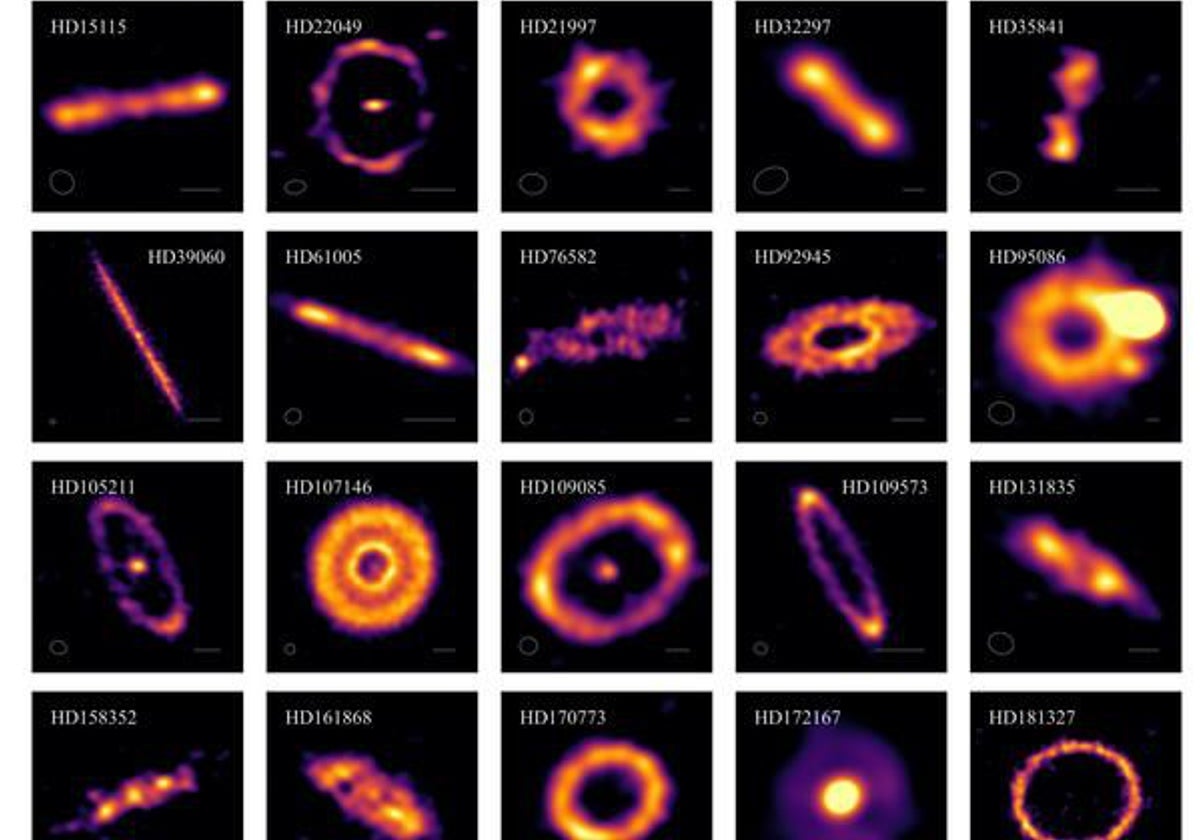 30 de los 74 cinturones observados muestran la extrema variedad que pueden tener estas estructuras