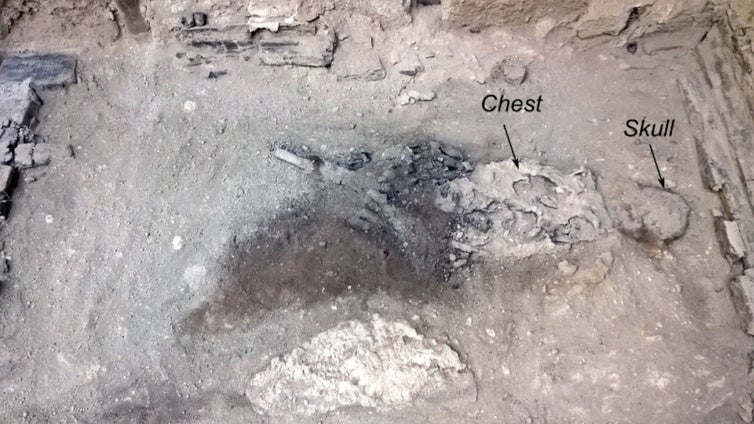 Hallan el misterioso 'cerebro de cristal' de una víctima de la erupción del Vesubio en el año 79