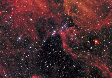 Las supernovas causaron al menos dos grandes extinciones masivas