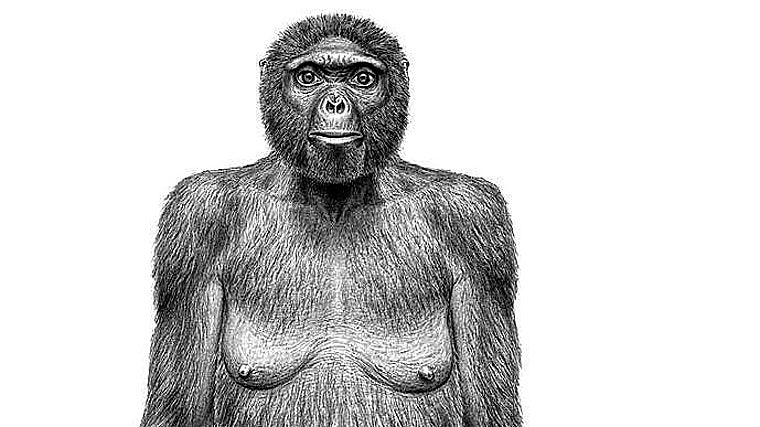 La hembra 'Ardi', de 4,4 millones de años