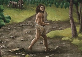 Los denisovanos, la enigmática especie que convivió con nuestros antepasados, conquistó también climas templados