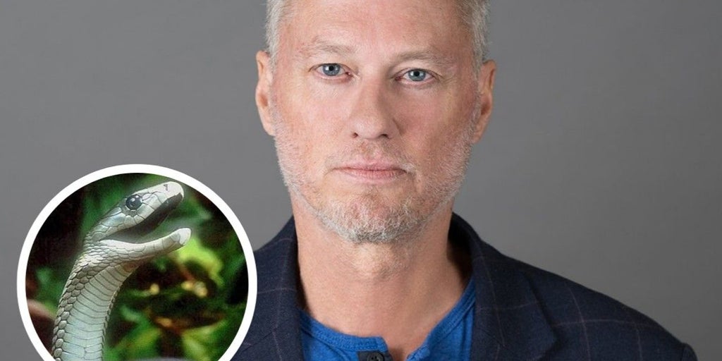 Un 'youtuber' que se dejó picar por 200 serpientes es clave en un antídoto que neutraliza el veneno de 19 especies