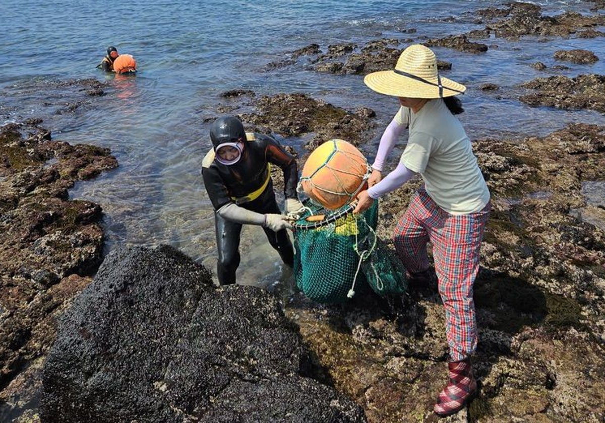 Dos buceadoras haenyeo salen del agua con su 'botín'