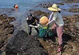 Descubren el secreto genético de las haenyeo, las 'mujeres del mar' coreanas que bucean incluso embarazadas
