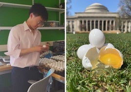 Físicos del MIT concluyen que los huevos se rompen más si caen en vertical