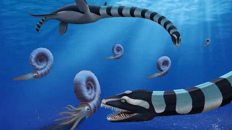Identificado un extraño monstruo marino con un cuello de 12 metros y dientes como una trituradora