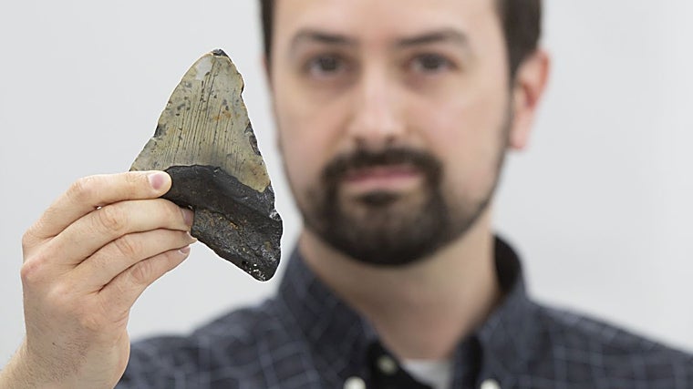 Jeremy McCormack, con un diente fosilizado de megalodón