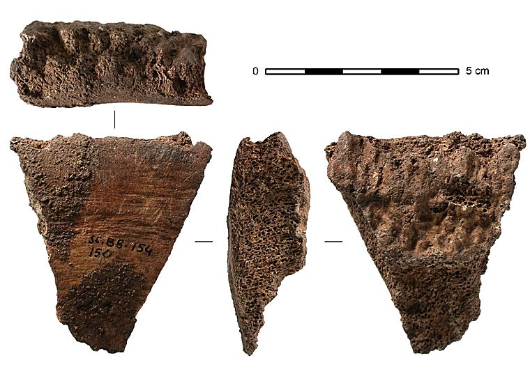 Fragmento de una vértebra de ballena del yacimiento de Santa Catalina, de hace entre 15.500 y 15.000 años