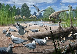 Hallan pruebas de que las aves ya anidaban en el Ártico junto a los dinosaurios