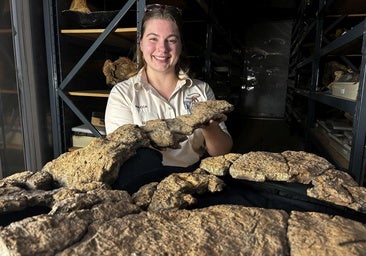 Hallan dentro de las tripas de un titanosaurio un banquete vegetariano que se tragó sin masticar