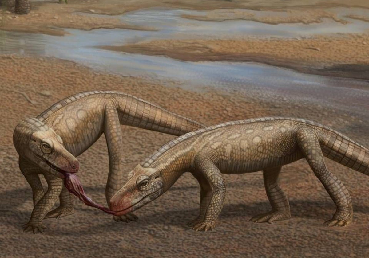 Reconstrucción de dos ejemplares de Parvosuchus aurelioi, un pequeño reptil carnívoro del Triásico similar a un cocodrilo