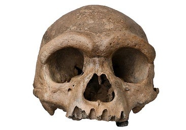 El enigmático hombre dragón chino no es una nueva especie: es un denisovano y por fin conocemos su aspecto