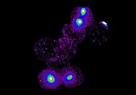 Observan un enorme filamento de 'materia perdida' conectando cuatro grupos de galaxias