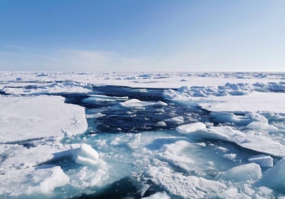 Helado, pero no sellado: el Océano Ártico permaneció abierto a la vida durante las peores edades de hielo