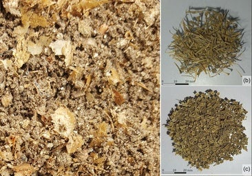 El ADN revela los ingredientes del garum, la salsa más olorosa y popular del Imperio Romano