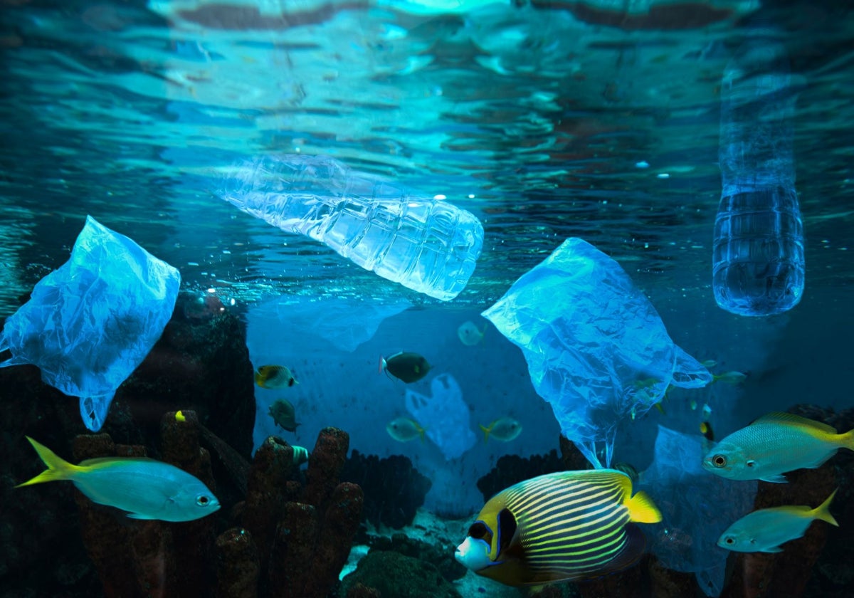 El Océano Atlántico Norte contiene 27 toneladas de nanoplásticos