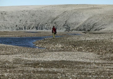 Las proteínas más antiguas, recuperadas del diente de un rinoceronte de hace más de 20 millones de años enterrado en el Ártico