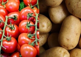 Fruto del 'romance prohibido' de un tomate: así nació la patata