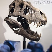 'Jurassic Cash': el auge del coleccionismo científico
