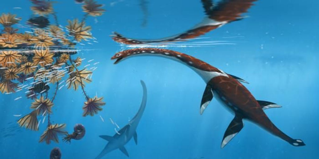 ジュラ紀の海を溝にした新しい海洋爬虫類を発見しました