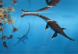 Descubierto un nuevo reptil marino que surcaba los océanos del Jurásico