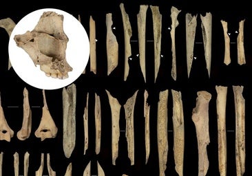 Canibalismo en Atapuerca: despellejados y comidos por sus vecinos hace 5.700 años
