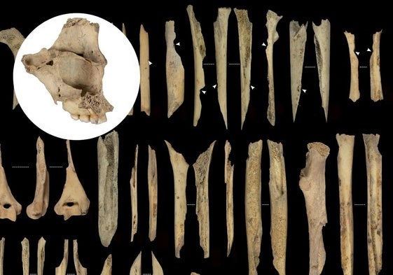 Canibalismo en Atapuerca: once personas, incluidos niños, fueron despellejados y comidos por sus vecinos hace 5.700 años