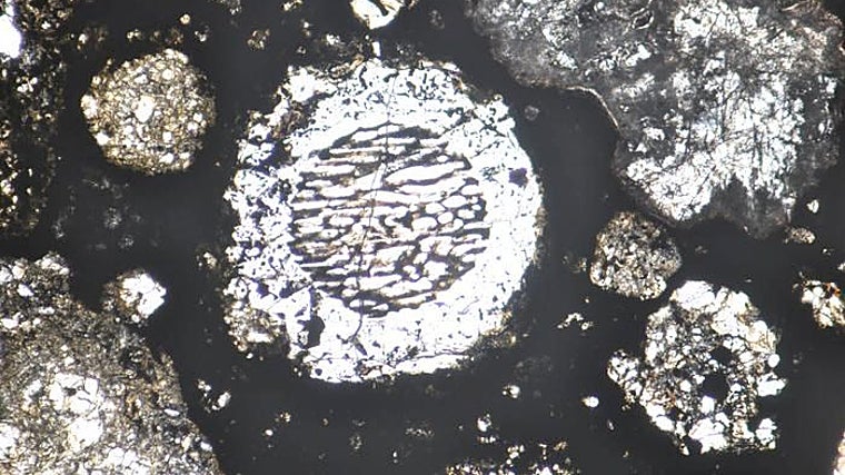 En la imagen de microscopio de una delgada lámina del meteorito de Allende se observan varios cóndrulos