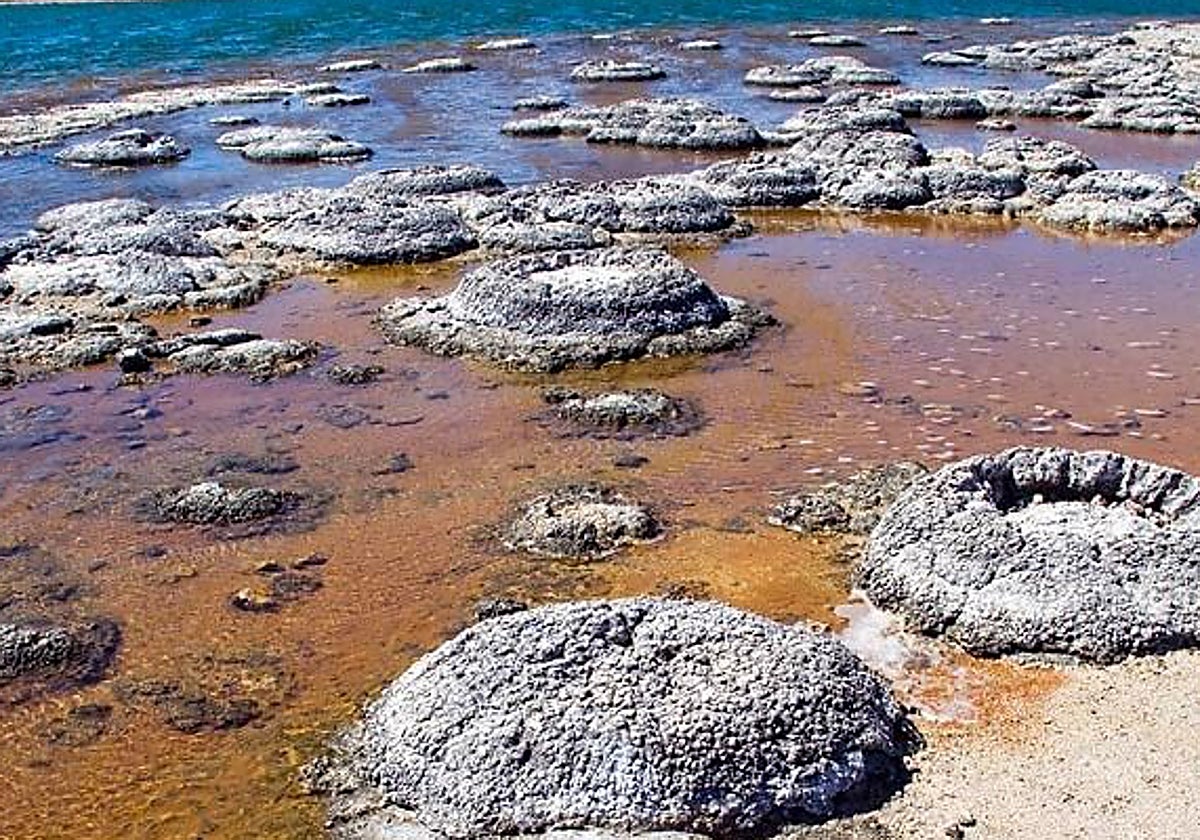 En lugares como este pudieron surgir las primeras formas vida de la Tierra