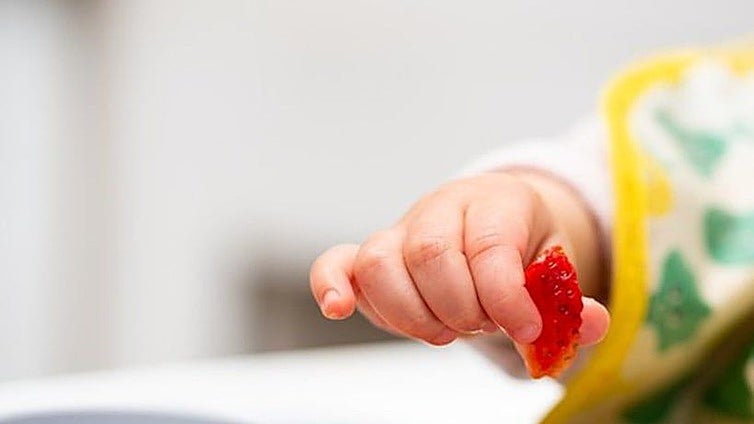 Los pulgares y el cerebro evolucionaron juntos para hacernos inteligentes