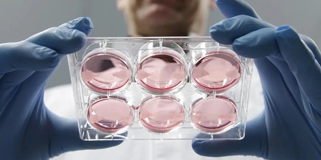 Las dudas científicas a las alternativas a la carne: menos sanas, más caras y riesgo de alergias