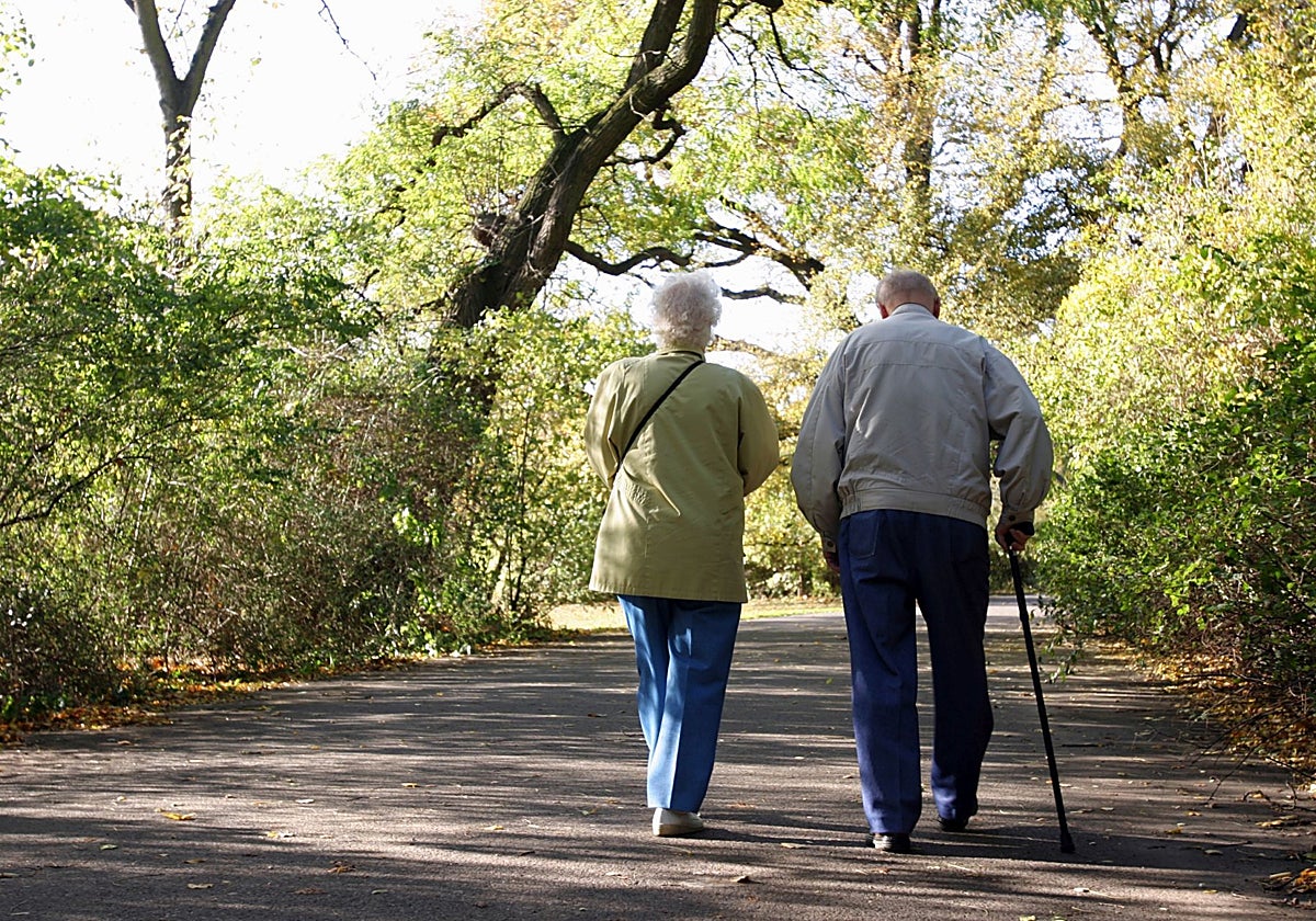 Una pareja de ancianos de paseo