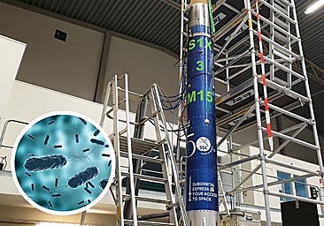 Estas son las bacterias que nos acompañarán a Marte