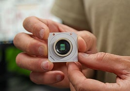 Descubren que el cerebro humano está 'programado' con instrucciones para comprender el mundo