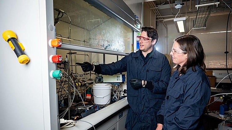 Una nueva teoría para la vida: algunos de sus ingredientes 'llovieron' directamente del cielo