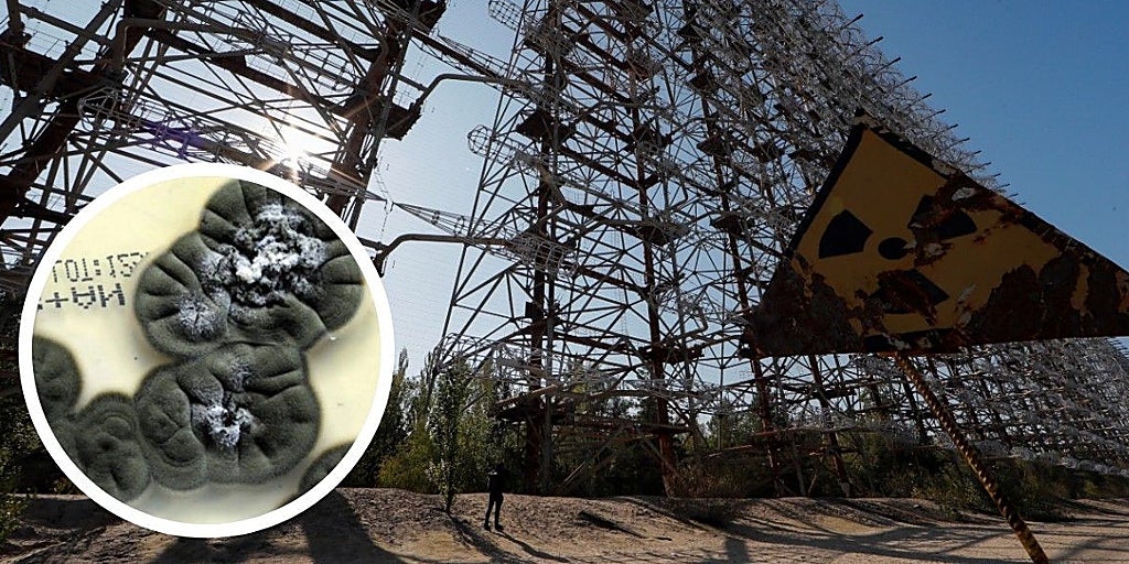 Chernobyl: The Last Mystery Revealed