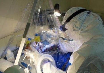 Sudáfrica, la 'cuna olvidada': hallan el ADN que cambió la historia de la Humanidad