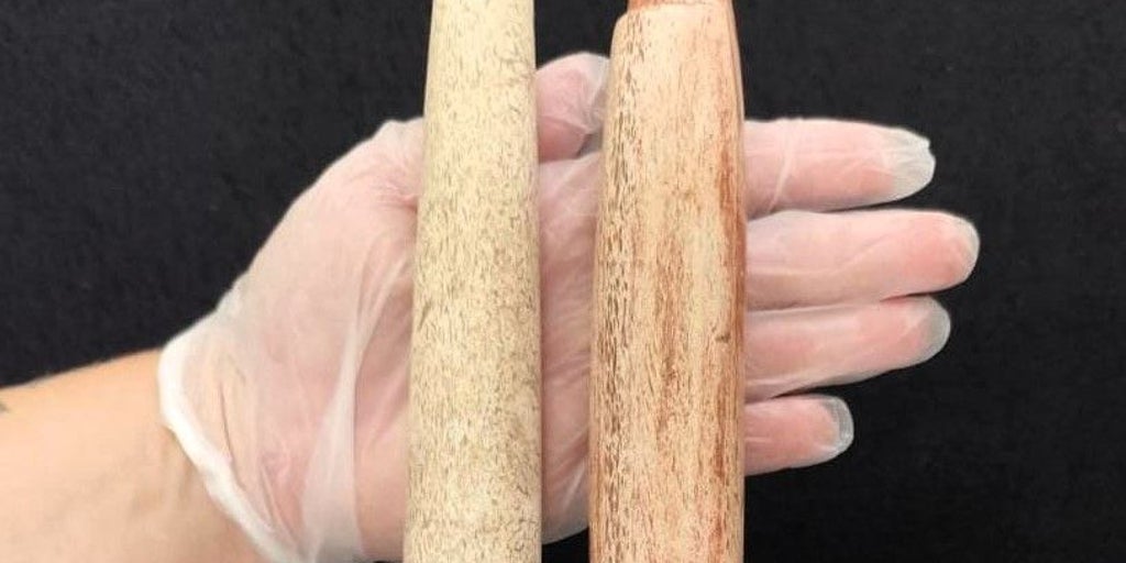 ブラジル南部の先住民族は5,000年前にすでにクジラを狩っていました