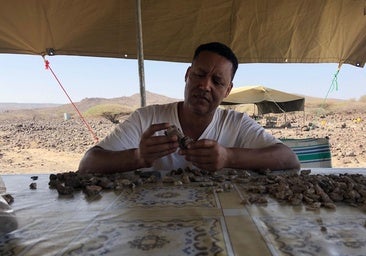La pieza que faltaba en Etiopía: el hombre 'cascanueces' vivió junto a los primeros humanos