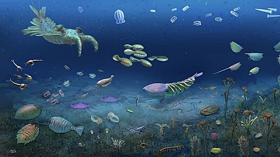 Hallan en China un 'mundo perdido' de extrañas criaturas que sobrevivió a la primera gran extinción masiva