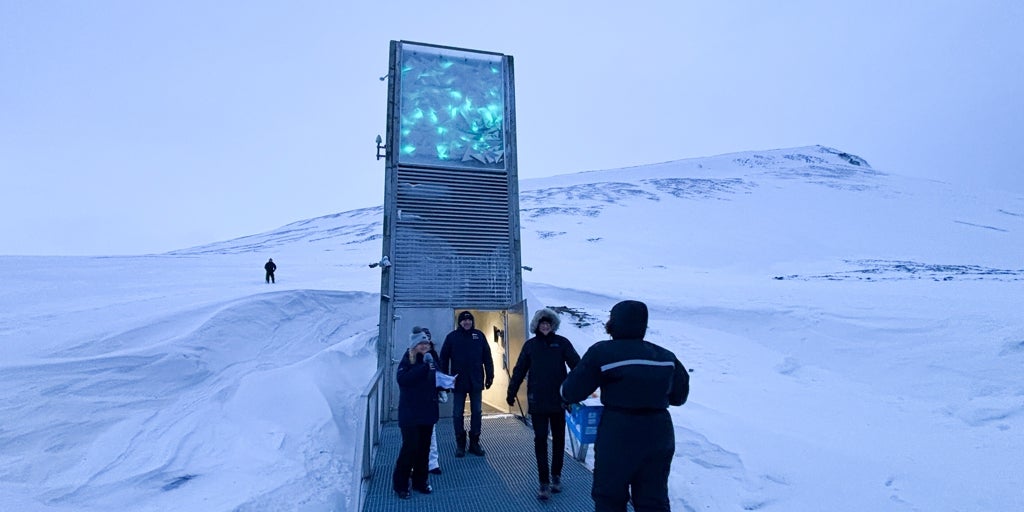 El olivo entra en el 'arca de Noe' para salvar del hambre a la humanidad