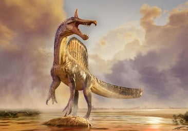 Hallado en el Sáhara un dinosaurio «maravilloso» con una cresta de medio metro en forma de cimitarra