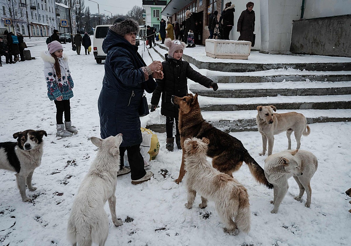 Una mujer alimenta a perros callejeros en Kramatorsk, Ucrania