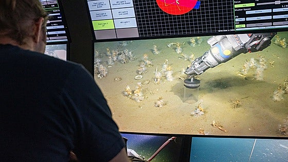 Resuelta la 'paradoja del oxígeno': por fin sabemos cómo surgió la vida compleja