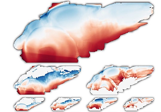 Se muestran patrones de expresión genética de miles de genes en dos regiones adyacentes (roja y azul) del cerebro del pez cebra.